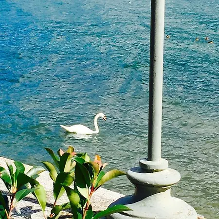 La Casa Dei Cigni Domaso